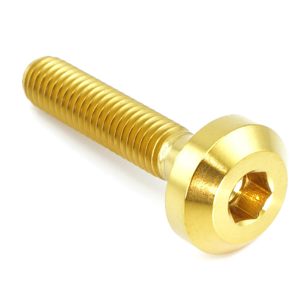 M6 x 1.00 x 30mm Titanium Motor Head Bolt
