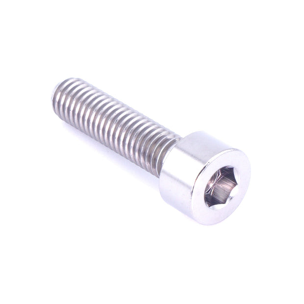 M5 x .8 x 20mm Titanium Socket Cap Bolt