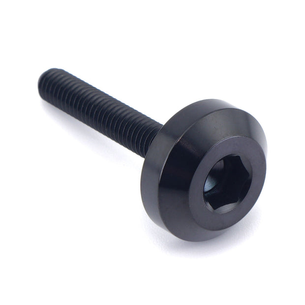 M4 x .7 x 25mm Titanium Motor Head Bolt