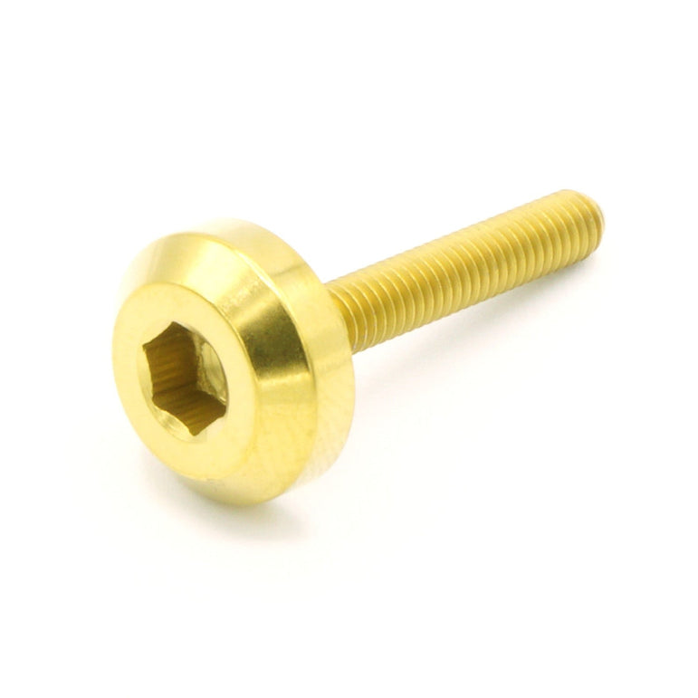 M4 x .7 x 25mm Titanium Motor Head Bolt - JSI Racing 