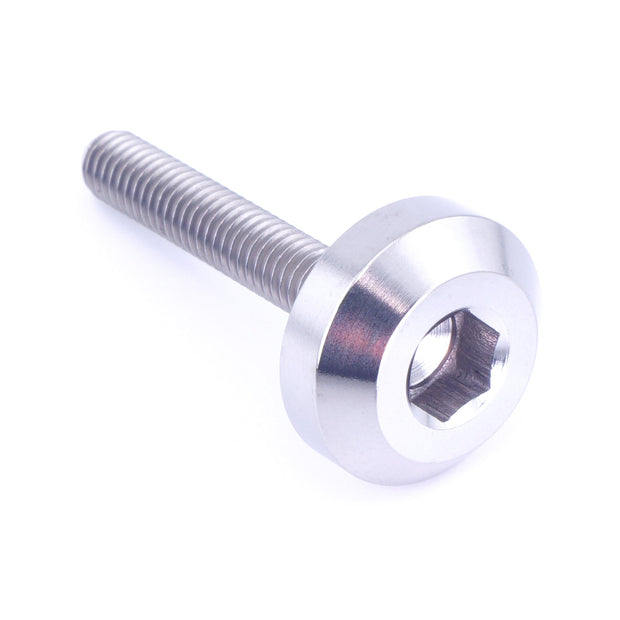 M4 x .7 x 25mm Titanium Motor Head Bolt
