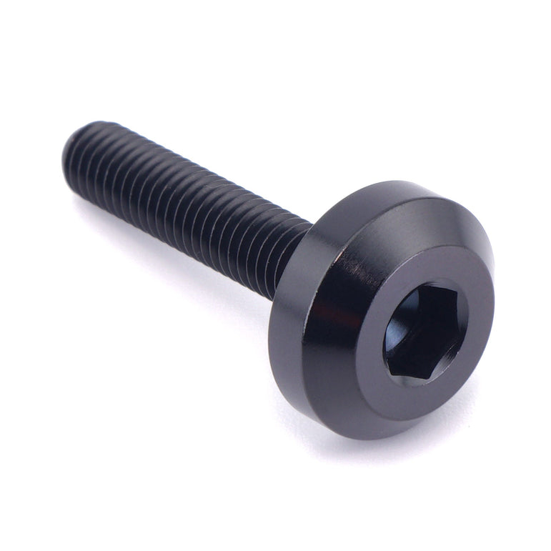 M5 x .8 x 25mm Titanium Motor Head Bolt