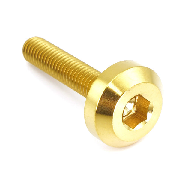 M5 x .8 x 25mm Titanium Motor Head Bolt