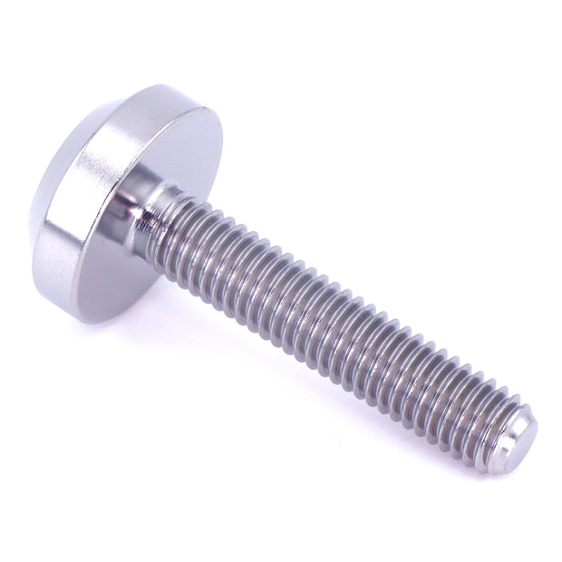 M5 x .8 x 25mm Titanium Motor Head Bolt