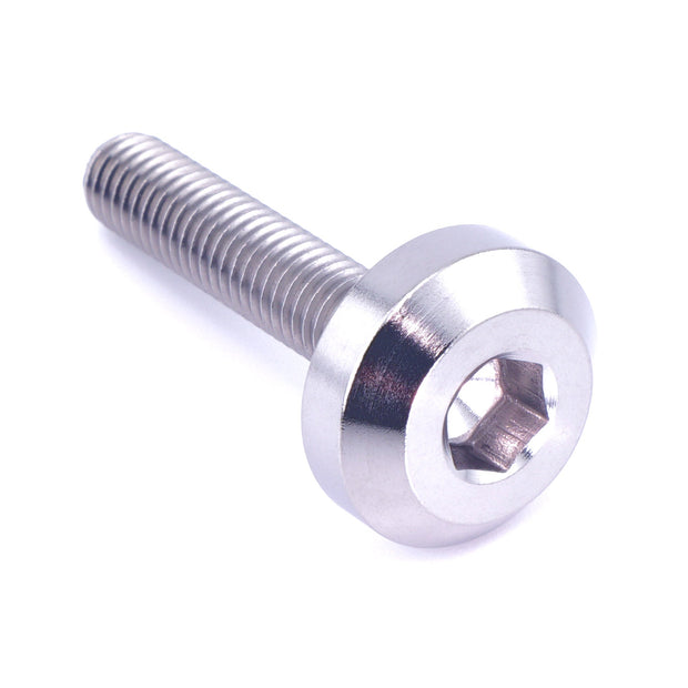 M5 x .8 x 25mm Titanium Motor Head Bolt