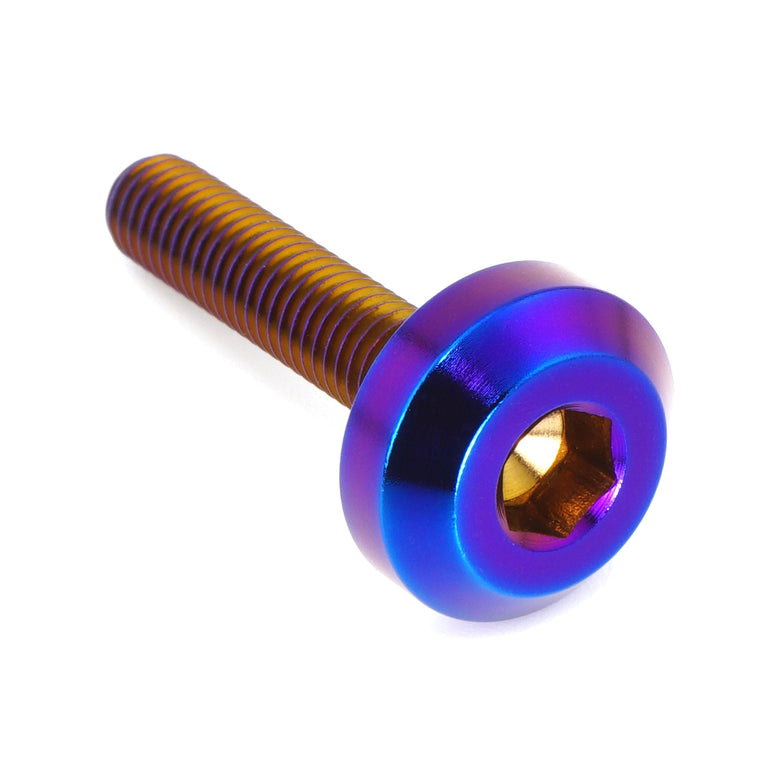 M5 x .8 x 25mm Titanium Motor Head Bolt