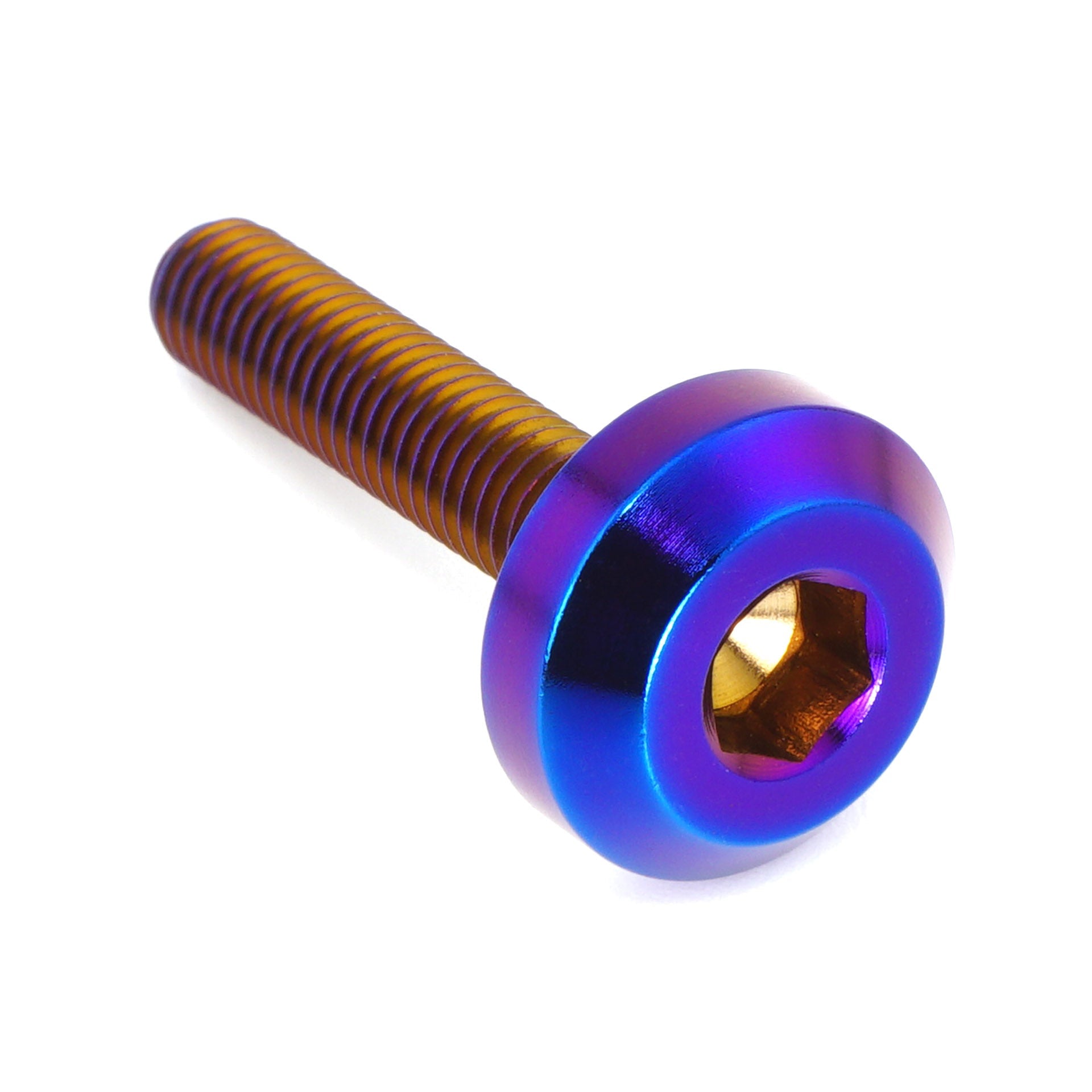 M5 x .8 x 25mm Titanium Motor Head Bolt