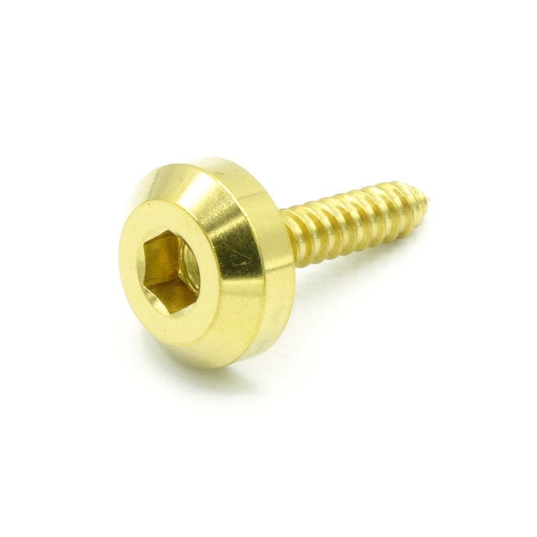M4 x 1.4 x 20mm Titanium Motor Head Screw - JSI Racing 