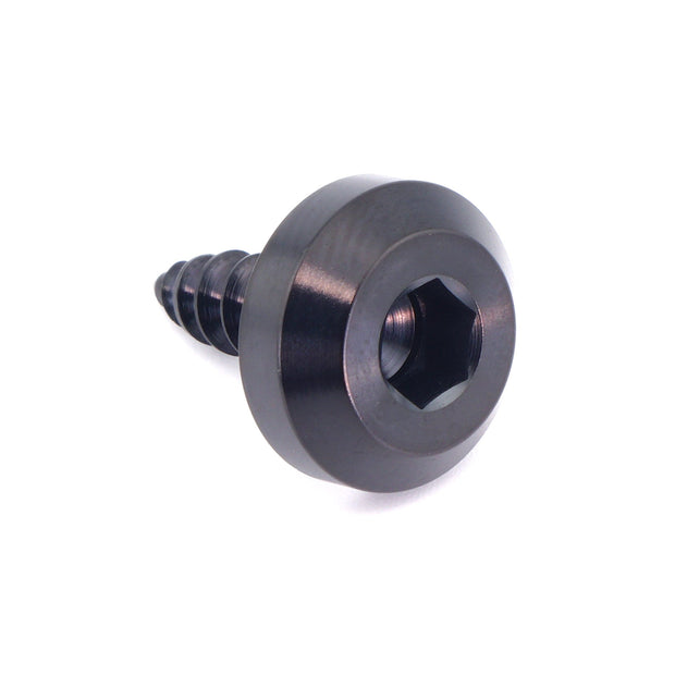 M5 x 2.0 x 15mm Titanium Motor Head Screw