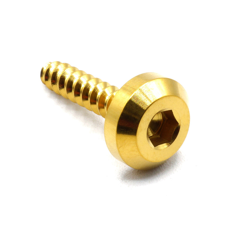 M5 x 2.0 x 25mm Titanium Motor Head Screw - JSI Racing 