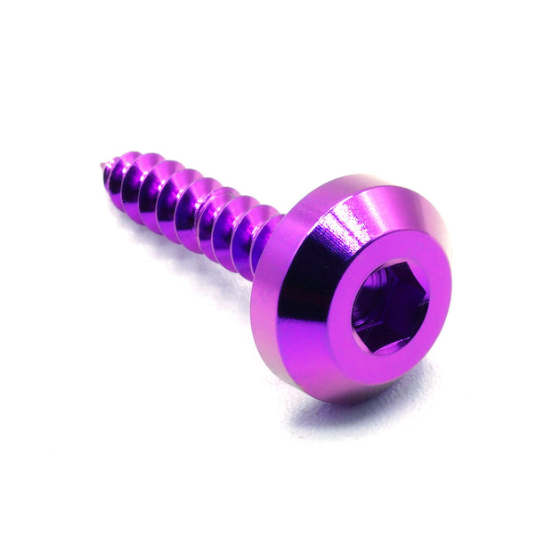 M5 x 2.0 x 25mm Titanium Motor Head Screw - JSI Racing 