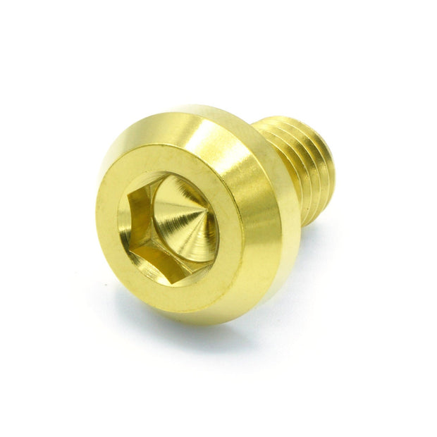 M10 x 1.50 x 15mm Titanium Motor Head Bolt - JSI Racing 