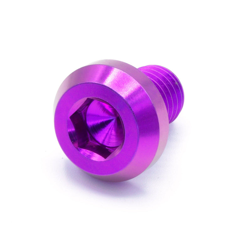 M10 x 1.50 x 15mm Titanium Motor Head Bolt - JSI Racing 