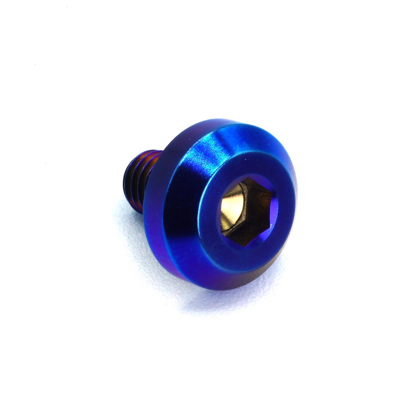 M6 x 1.00 x 10mm Titanium Motor Head Bolt - JSI Racing 