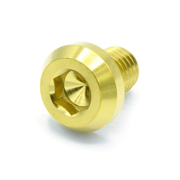 M10 x 1.25 x 15mm Titanium Motor Head Bolt - JSI Racing 