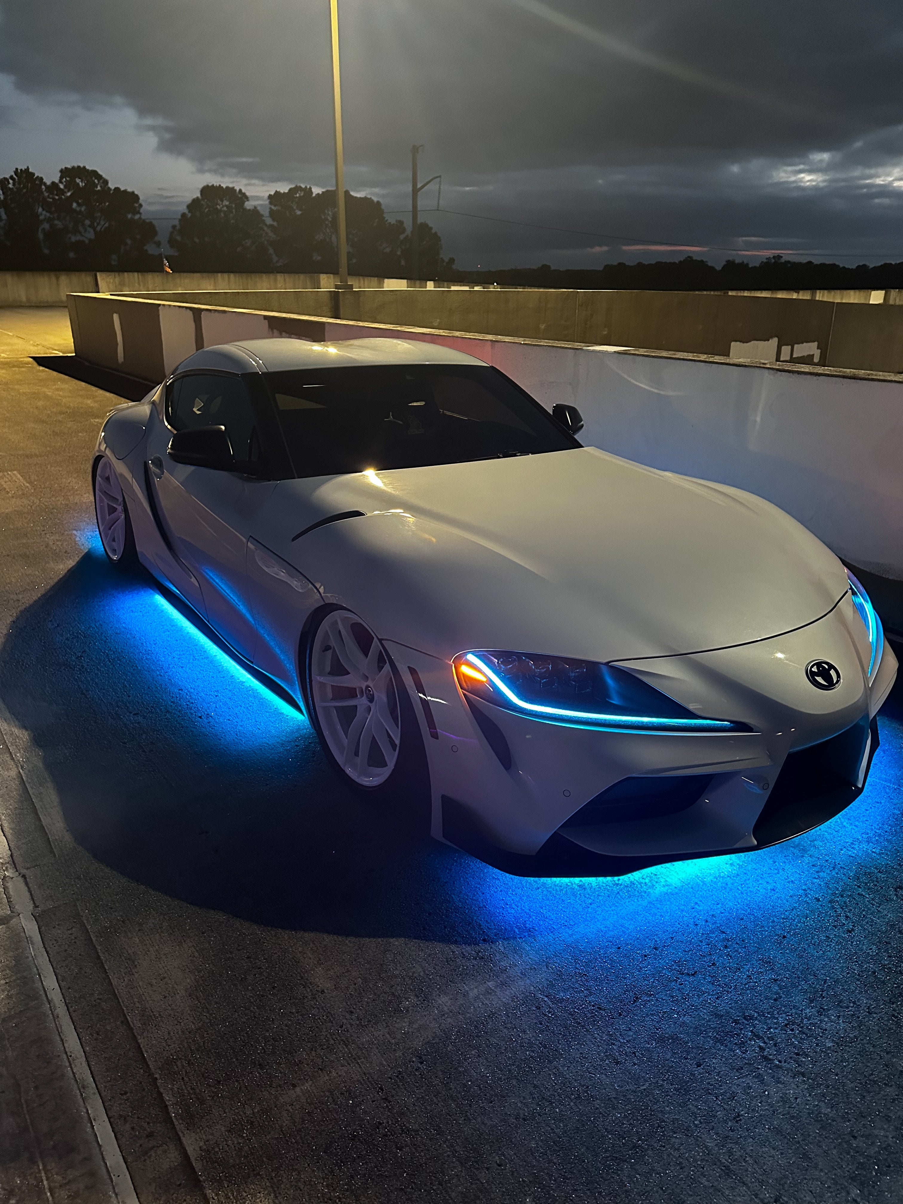 Toad Underglow - JSI Racing 